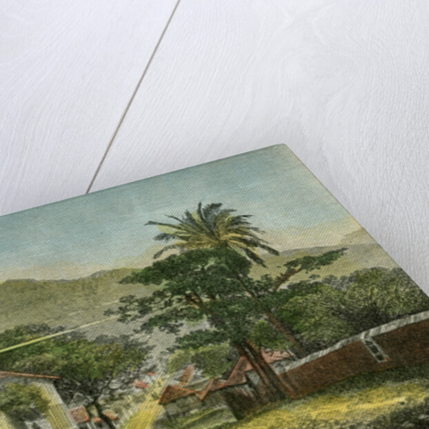 A street in Roseau, Dominica by Pann