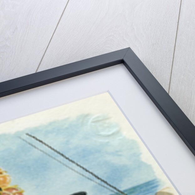 Royal Navy Lieutenant and signal boy by Anonymous