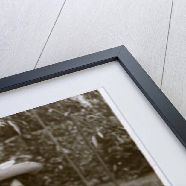 Millie Legarde, English actress by Rotary Photo