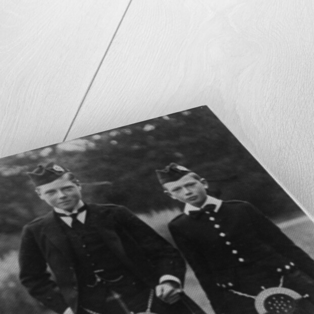 The Prince of Wales and Prince Henr by Ernest Brooks