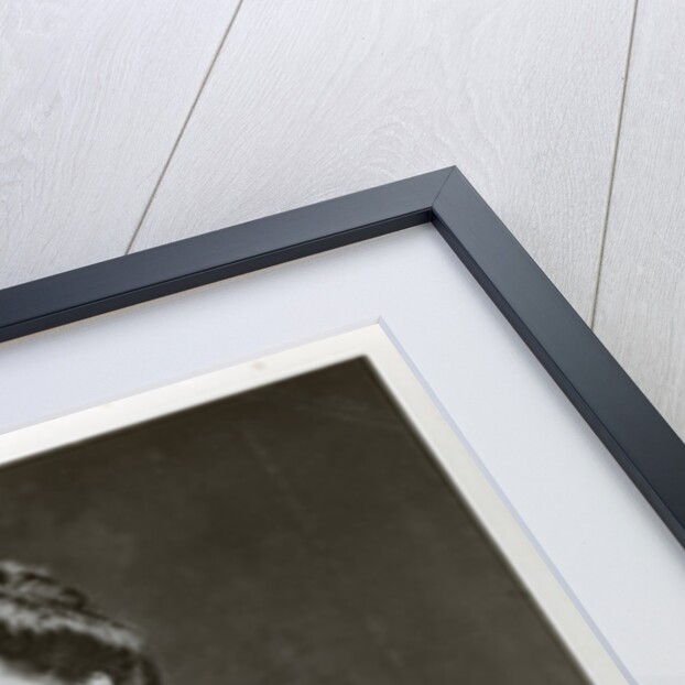 The Duchess of Connaught by Lafayette