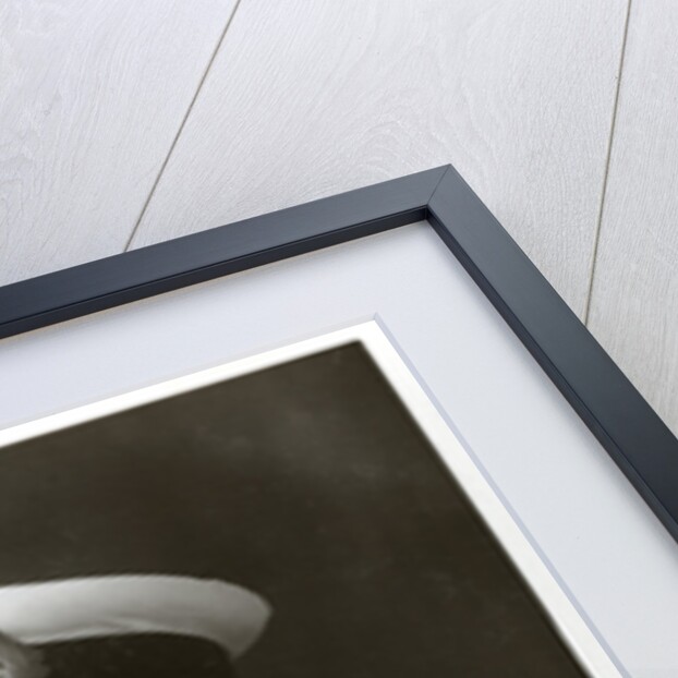 The Prince of Wales in naval uniform by W&D Downey