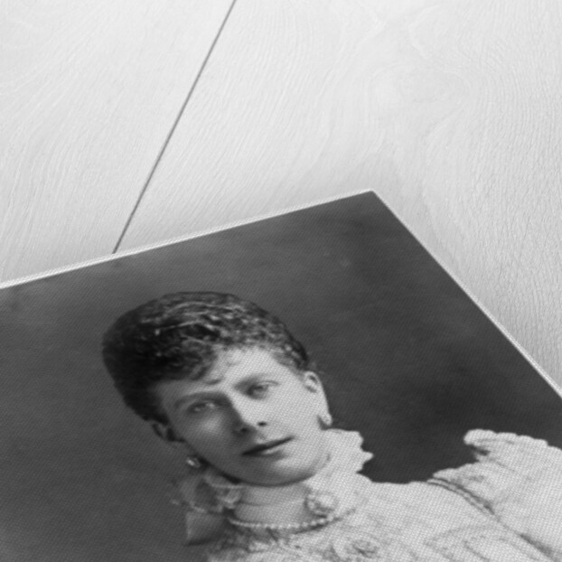 The Princess of Wales by Anonymous