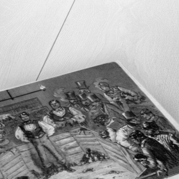 The Great 100 Rat Match by Anonymous