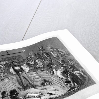 The Great 100 Rat Match by Anonymous