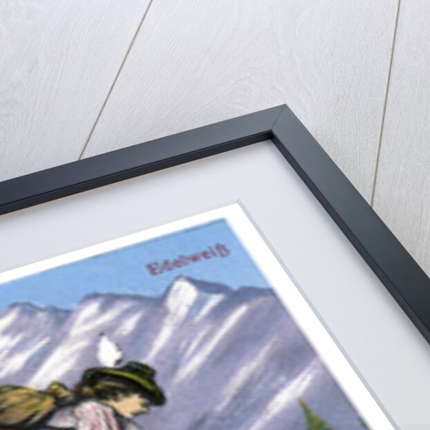 Edelweiss by Anonymous