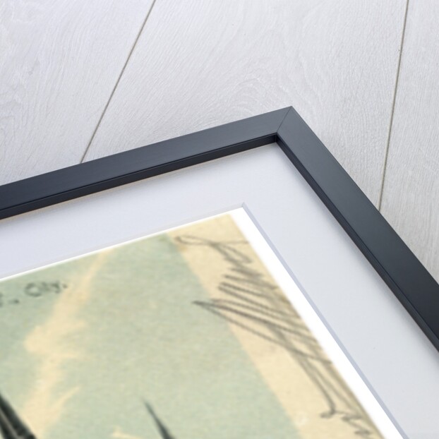 St Patrick's Cathedral, New York City, New York, USA by Anonymous