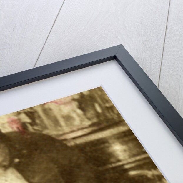 Evenings at Home by Anonymous