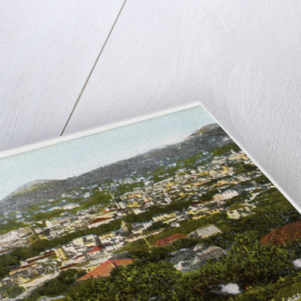 Funchal, Madeira by Anonymous