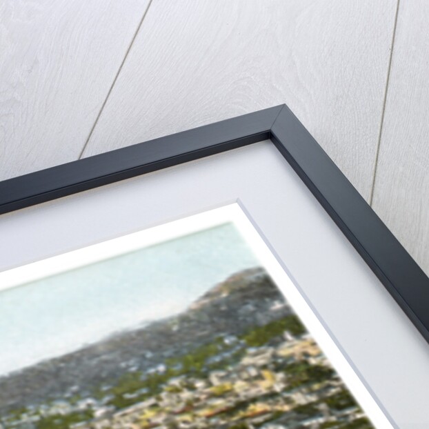 Funchal, Madeira by Anonymous