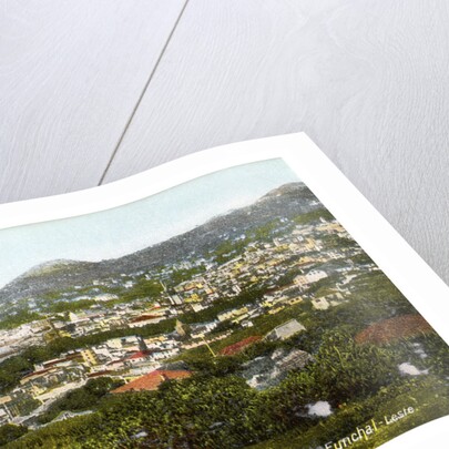 Funchal, Madeira by Anonymous