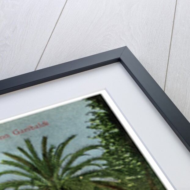 Garibaldi Garden, Palermo, Sicily, Italy by Anonymous