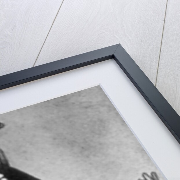 William de Albeneis by Anonymous