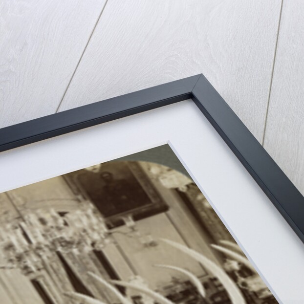 'Hall of Tusks,' in the home of Lady de Soysa, Bambalapitiya, Colombo, Ceylon by Underwood & Underwood