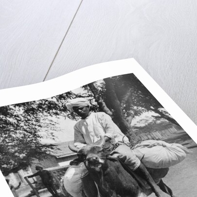 The laundry man, India by Cavanders Ltd