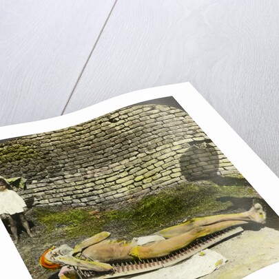 Hindu devotee on a bed of nails near the shrine of Kali, Calcutta, India by Underwood & Underwood