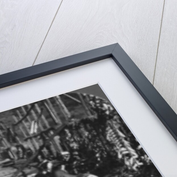 Sorting and packing daikon (Japanese radishes) on the waterfront, Atami, Japan by HC White