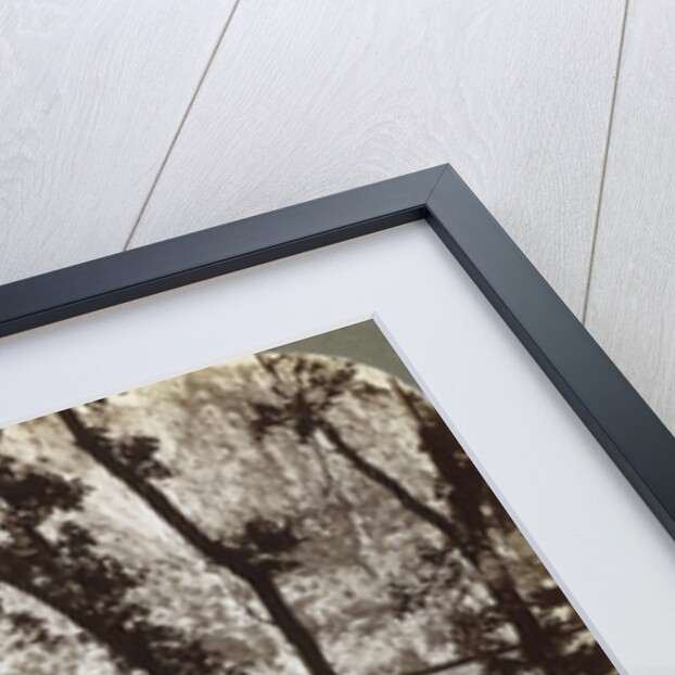 Sentinel Hotel, looking north across the valley to Yosemite Falls, California, USA by Underwood & Underwood