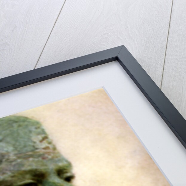 Head of a bronze statue of Pepy I, Ancient Egyptian pharaoh by Winifred Mabel Brunton