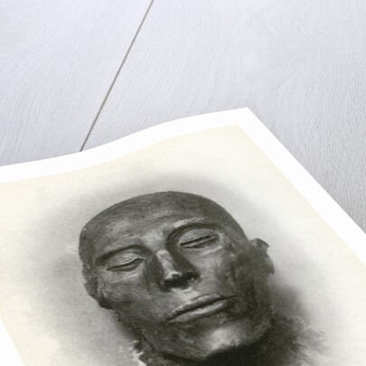 Head of the mummy of Sety I, Ancient Egyptian pharaoh of the 19th Dynasty by Winifred Mabel Brunton