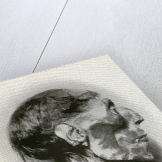 Head of the mummy of Rameses II, Ancient Egyptian pharaoh of the 19th dynasty by Winifred Mabel Brunton