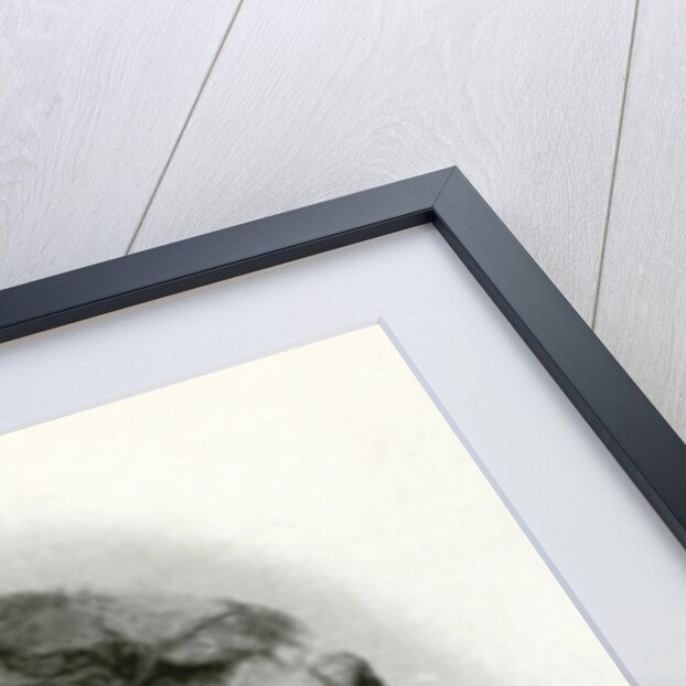 Head of the mummy of Rameses II, Ancient Egyptian pharaoh of the 19th dynasty by Winifred Mabel Brunton