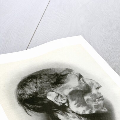 Head of the mummy of Rameses II, Ancient Egyptian pharaoh of the 19th dynasty by Winifred Mabel Brunton