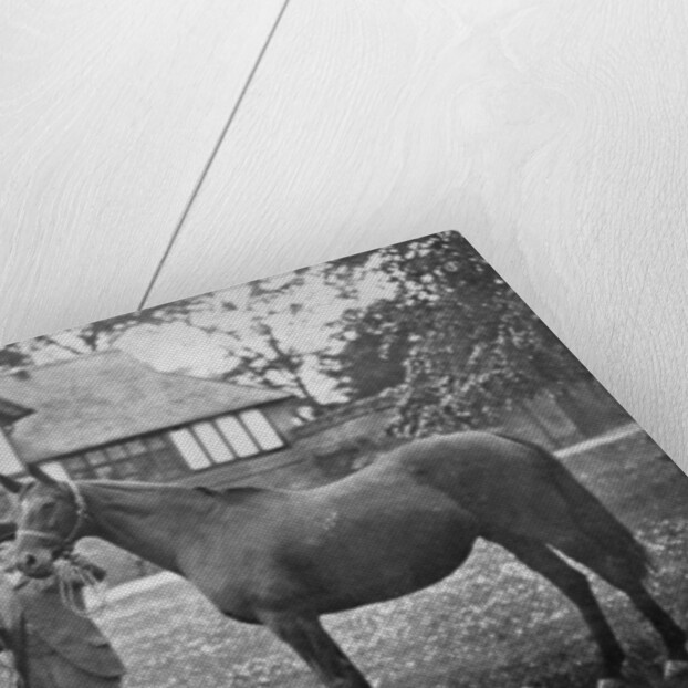 Lily Agnes, with Orelio by Bend Or, winner of £4955 by Anonymous