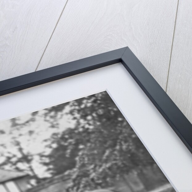 Lily Agnes, with Orelio by Bend Or, winner of £4955 by Anonymous