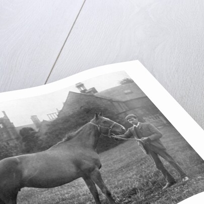 St Marguerite, British racehorse by Anonymous