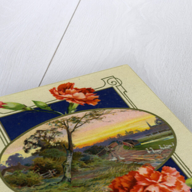 Birthday postcard by Anonymous