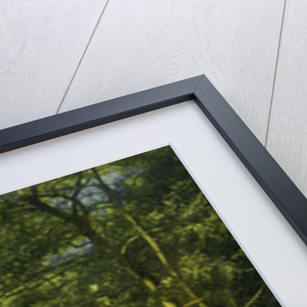 Wray Castle, Claife, Lancashire by Anonymous