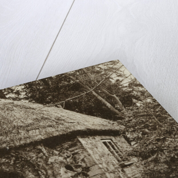 Edward Jenner's thatched hut, Berkeley, Gloucestershire by S Pead