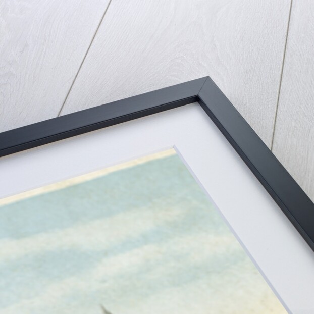 Houses of Parliament, Westminster, London by Anonymous