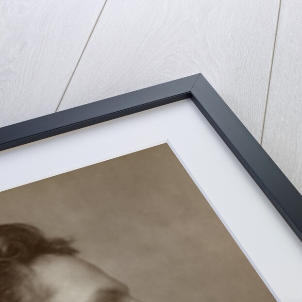 Johnston Forbes-Robertson, British actor by St James's Photographic Co