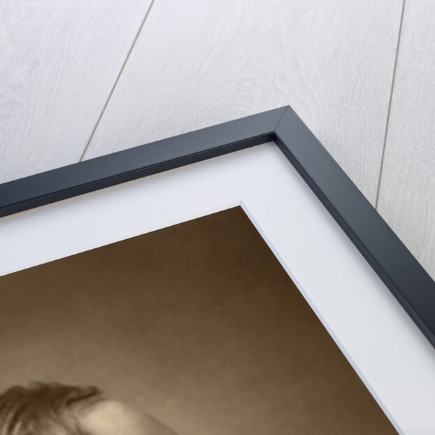 Henry Arthur Jones, British playwright by Barraud