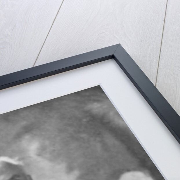 Robert Roberts Hitt, American politician by Anonymous