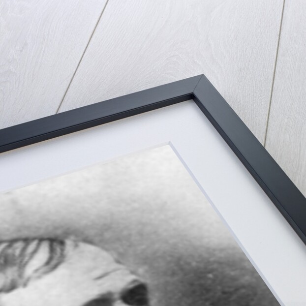 Winfield Scott Schley, American admiral by Anonymous