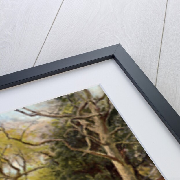 Wild Hyacinths in a Surrey Copse by Anonymous