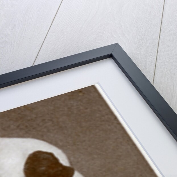 Frank Hough, British boxer by Anonymous