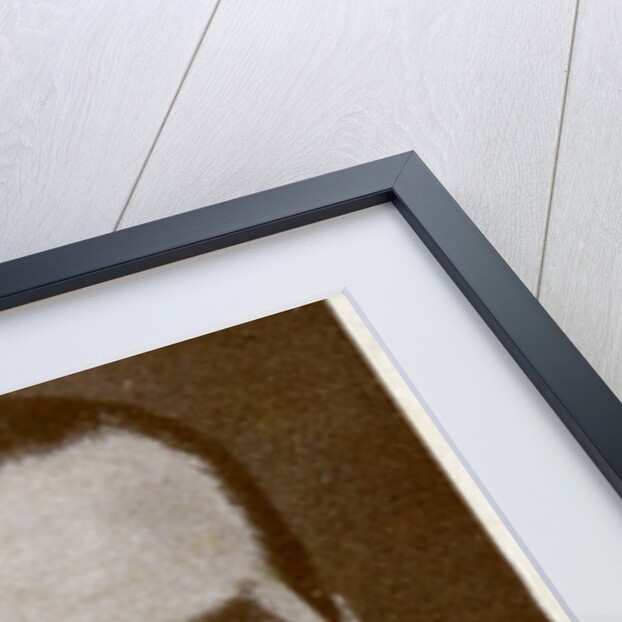 Cecil 'Pickles' Douglas, boxing referee by Anonymous