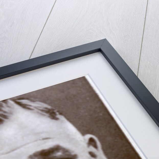 Ted Broadribb, British boxer and manager by Anonymous