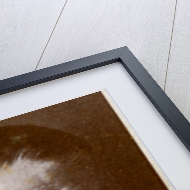 John E Harding, British boxing manager and match-maker by Anonymous