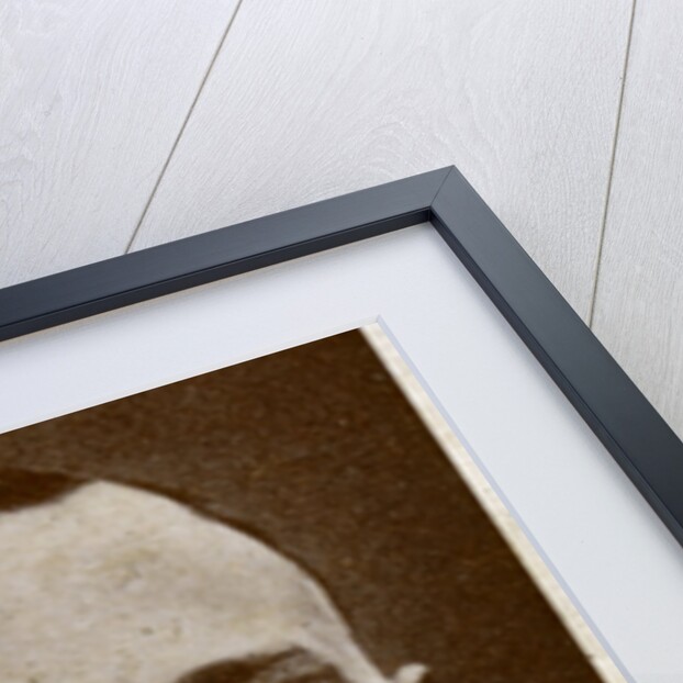 Johnny Sharpe, British boxing manager by Anonymous