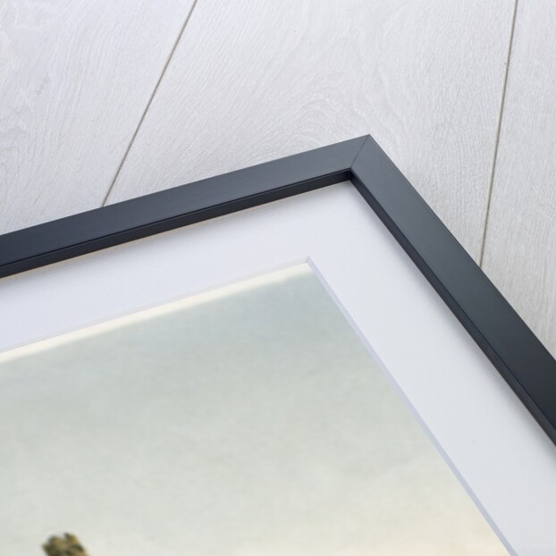 Ely Cathedral, Cambridgeshire by WL Walton