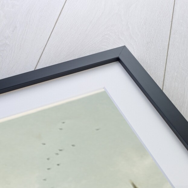 Peterborough Cathedral, Cambridgeshire by WL Walton