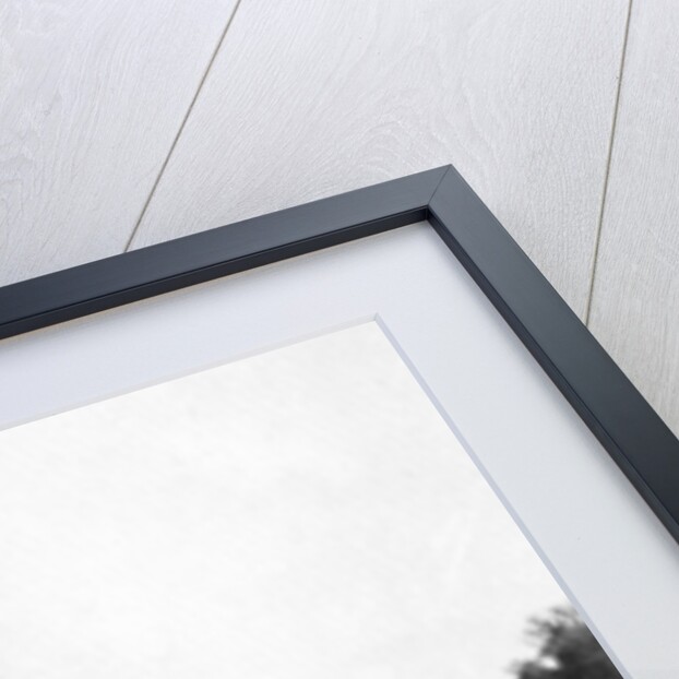 River scene, Rio Corrientes, Paraguay by Anonymous