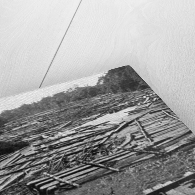 Cedar logs on the Tebicuary-Guazu River floating by the railway bridge, Paraguay by Anonymous