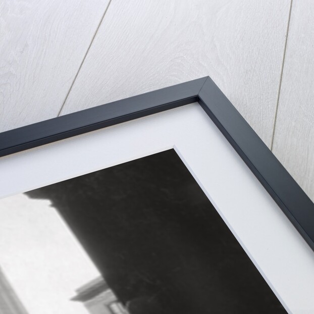 Woolworth Building, New York City, USA by J Dearden Holmes