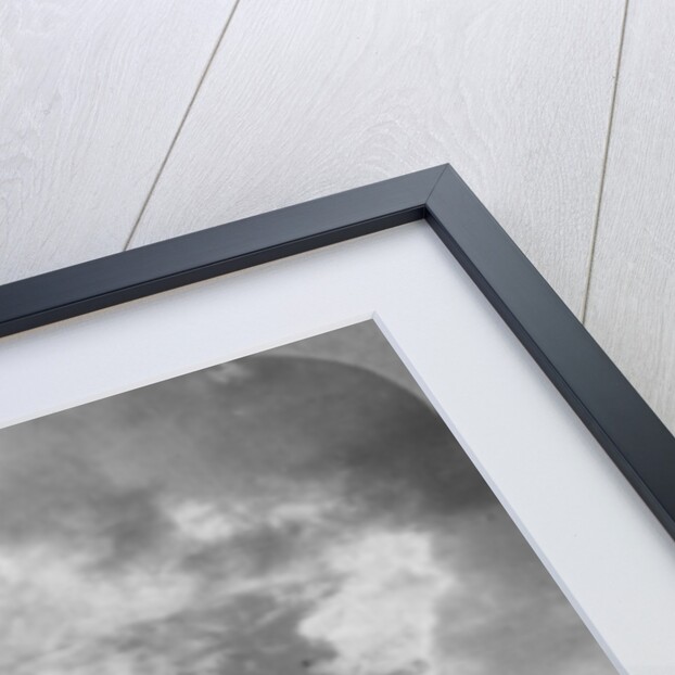 A battle squadron in fighting formation, World War I by Realistic Travels Publishers